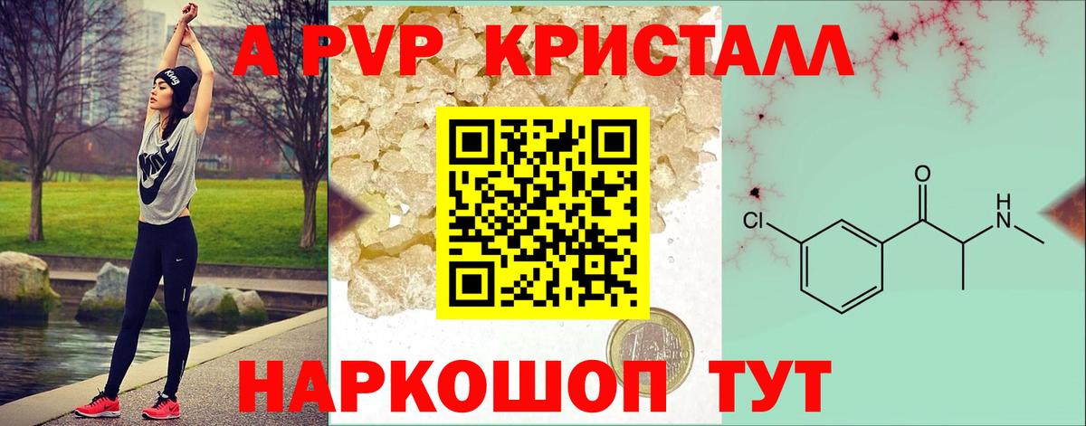 A-PVP СК КРИС Шахты